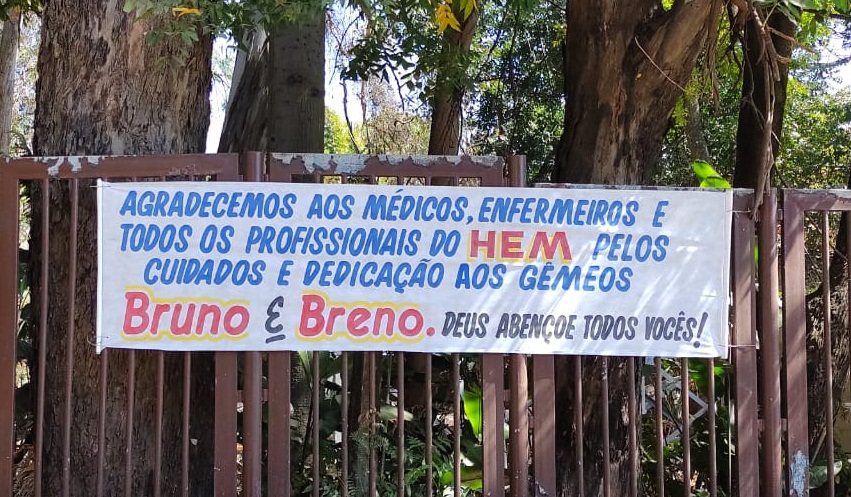 gemeos covid 3 edit